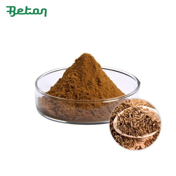 Organic Cumin Powder