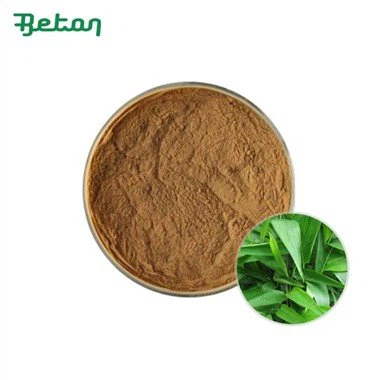Bio-Bambusextrakt-Pulver