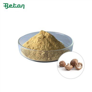 Bio-Shiitake-Pulver